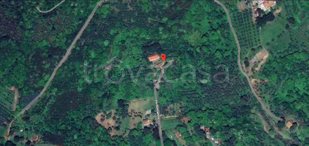 immagine annuncio 11 di 13