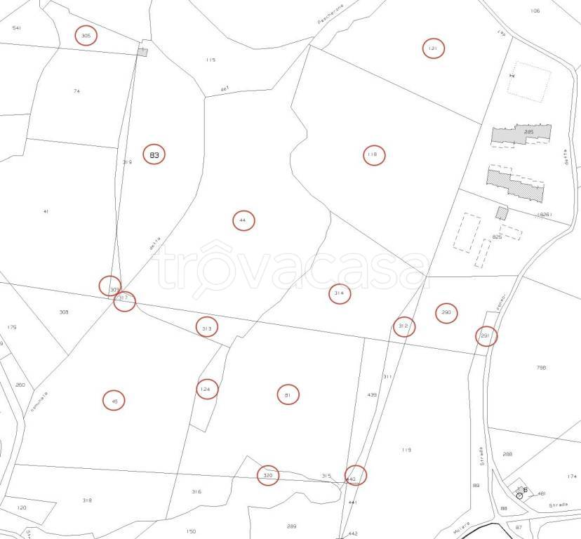 immagine annuncio 5 di 7