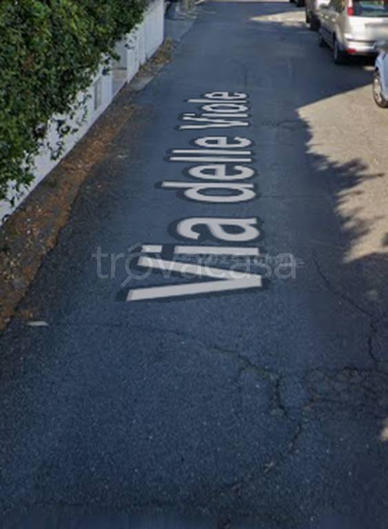 immagine annuncio 5 di 11