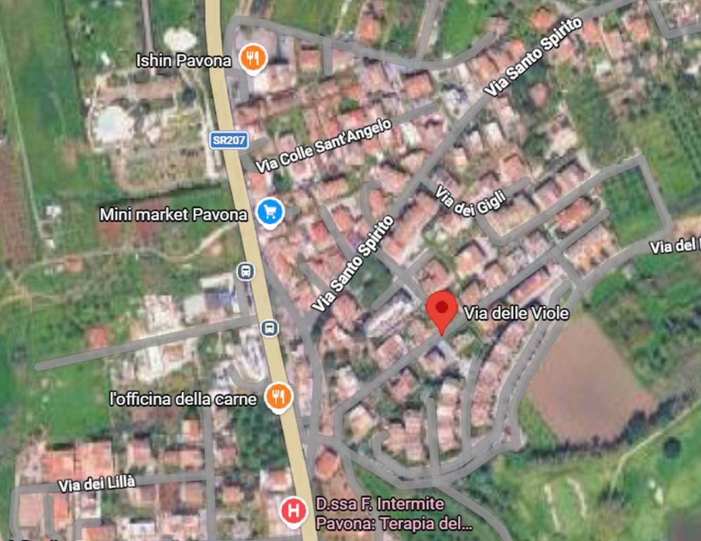 immagine annuncio 10 di 11