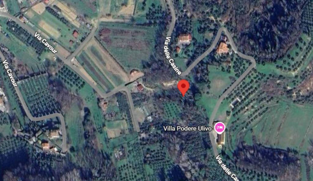 immagine annuncio 1 di 9