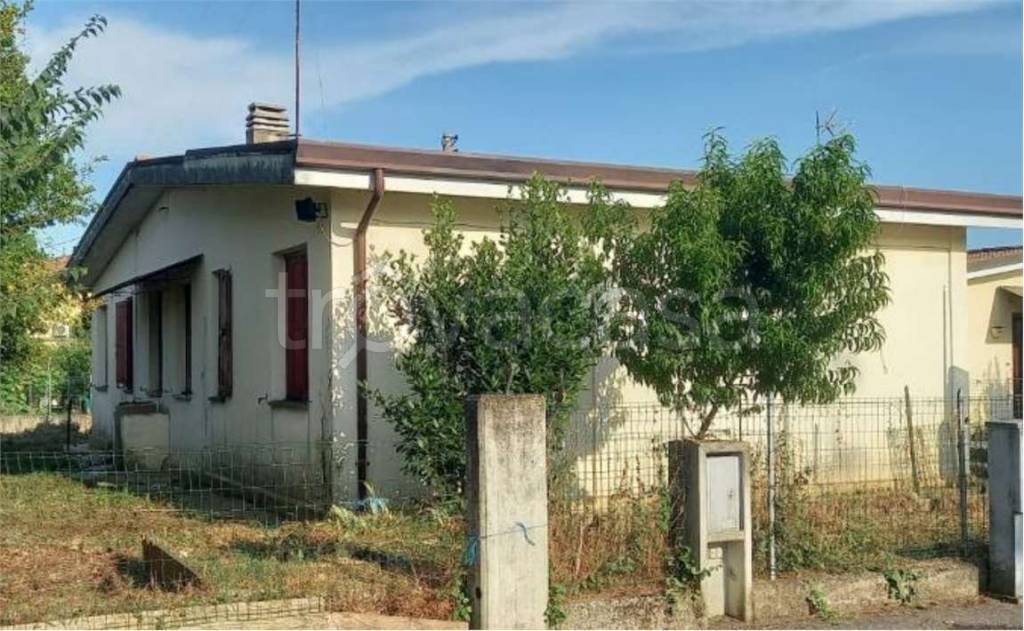 immagine annuncio 1 di 7