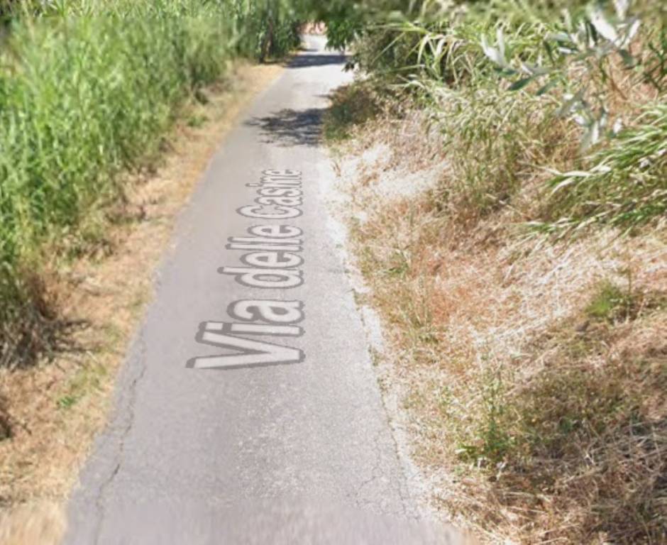 immagine annuncio 6 di 9