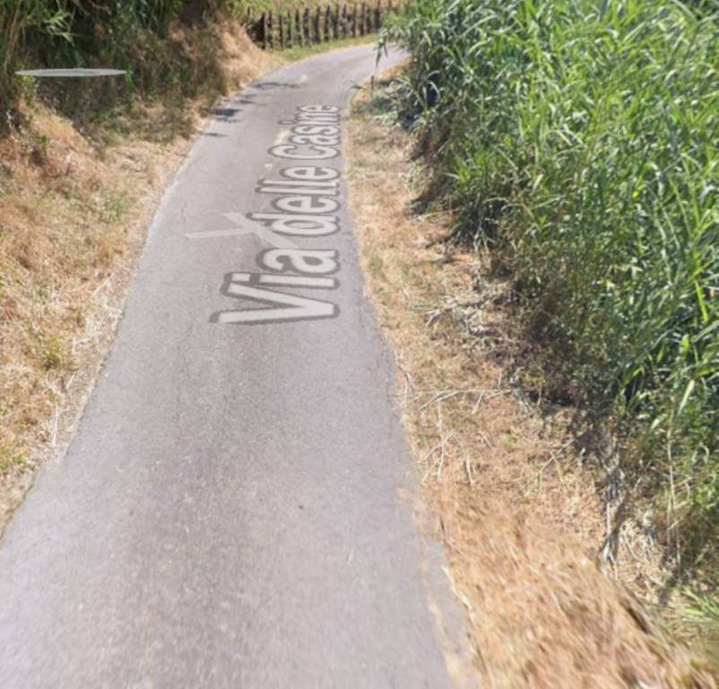 immagine annuncio 7 di 9