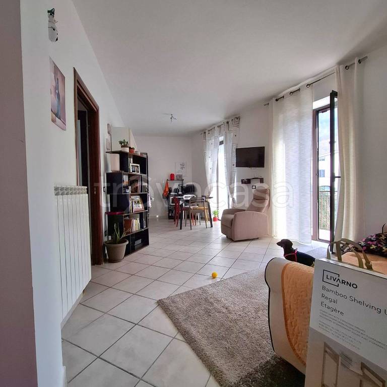 immagine annuncio 1 di 13