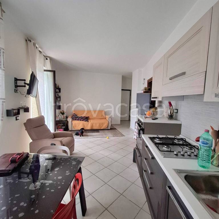 immagine annuncio 2 di 13