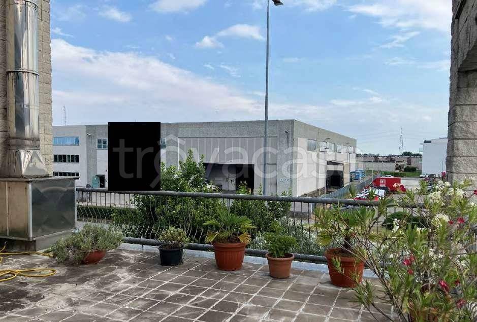 immagine annuncio 14 di 15