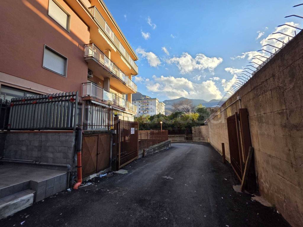immagine annuncio 6 di 8