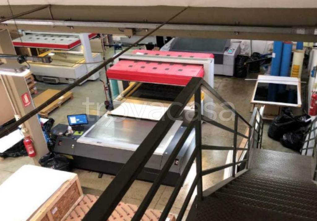 immagine annuncio 6 di 11