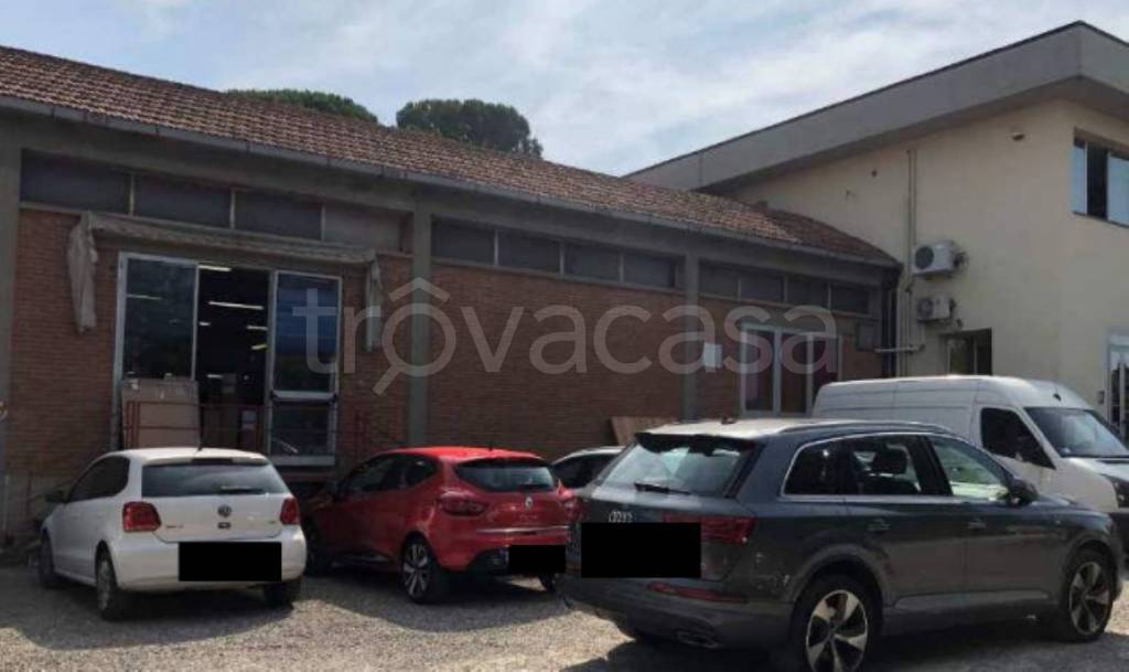 immagine annuncio 9 di 11