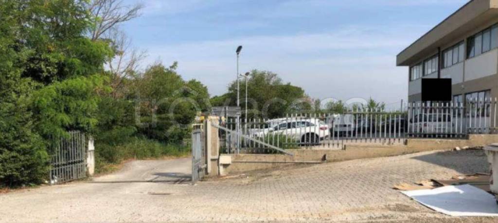 immagine annuncio 10 di 11