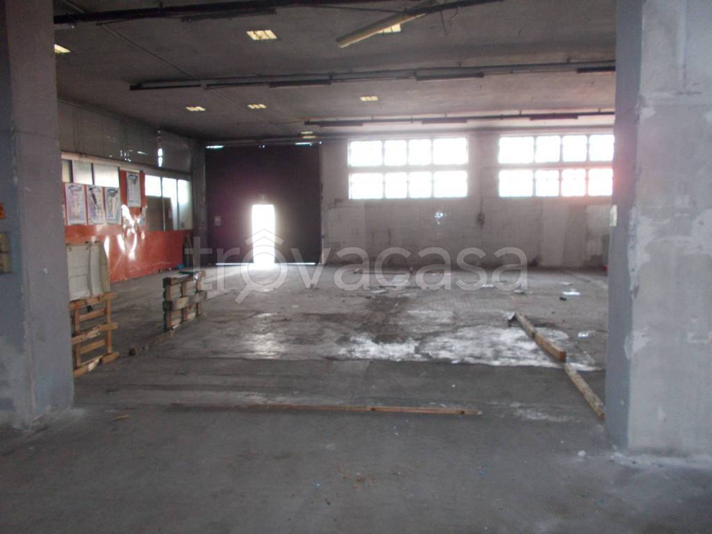 immagine annuncio 6 di 8