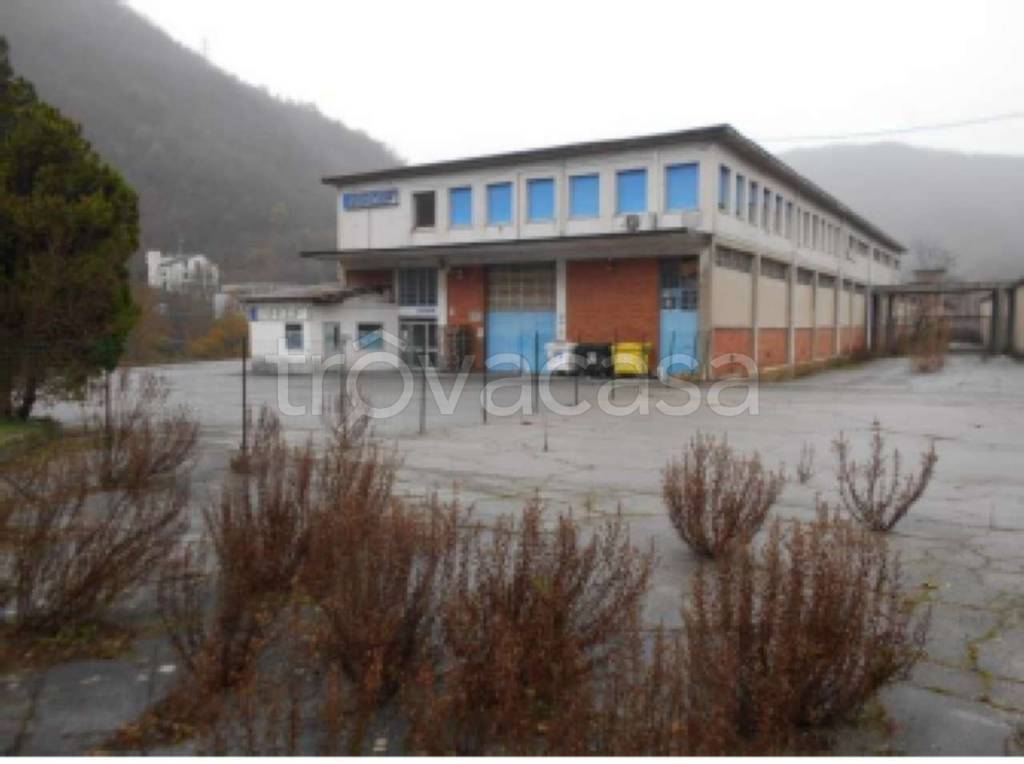 immagine annuncio 1 di 7