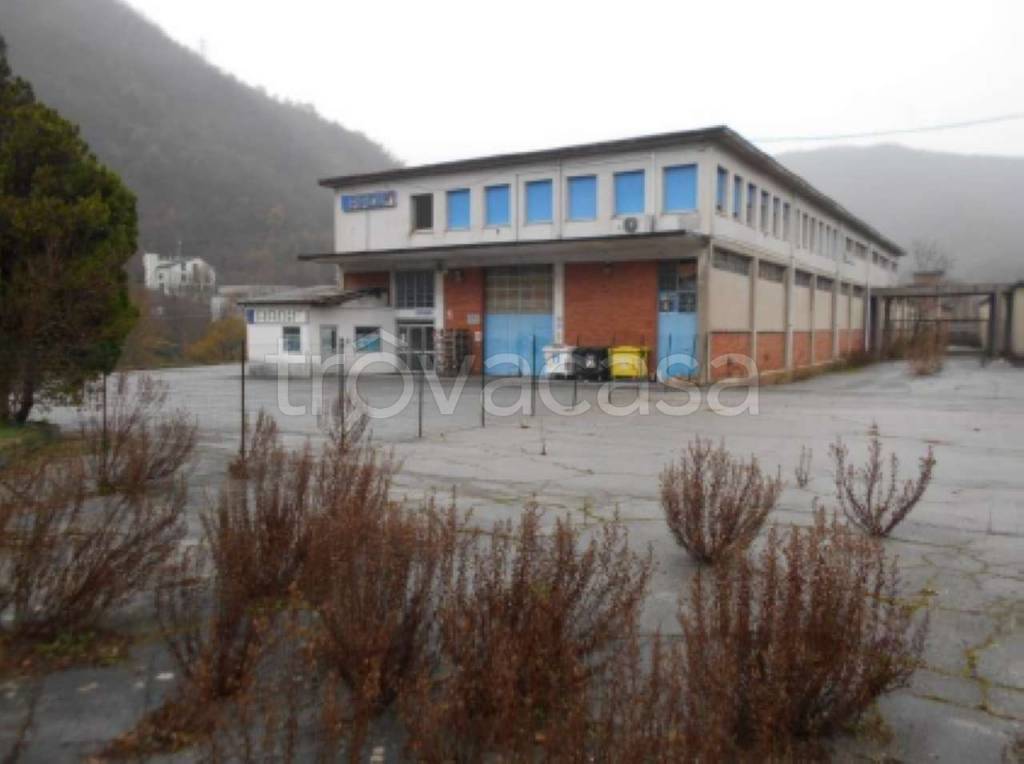 immagine annuncio 2 di 7