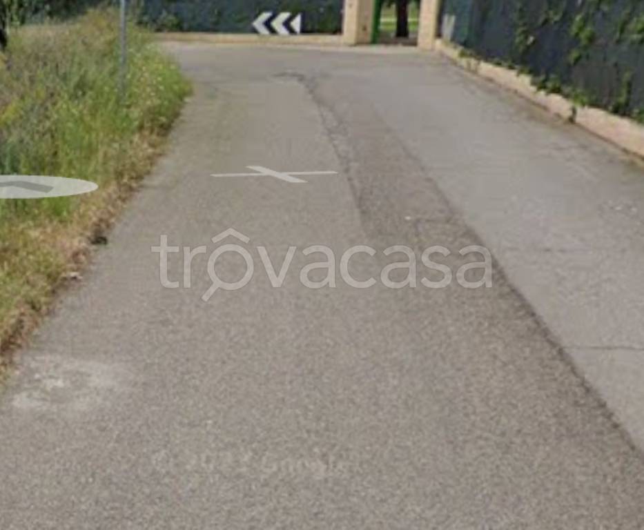 immagine annuncio 9 di 12