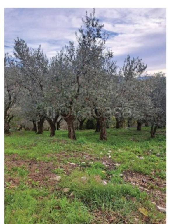 immagine annuncio 1 di 9