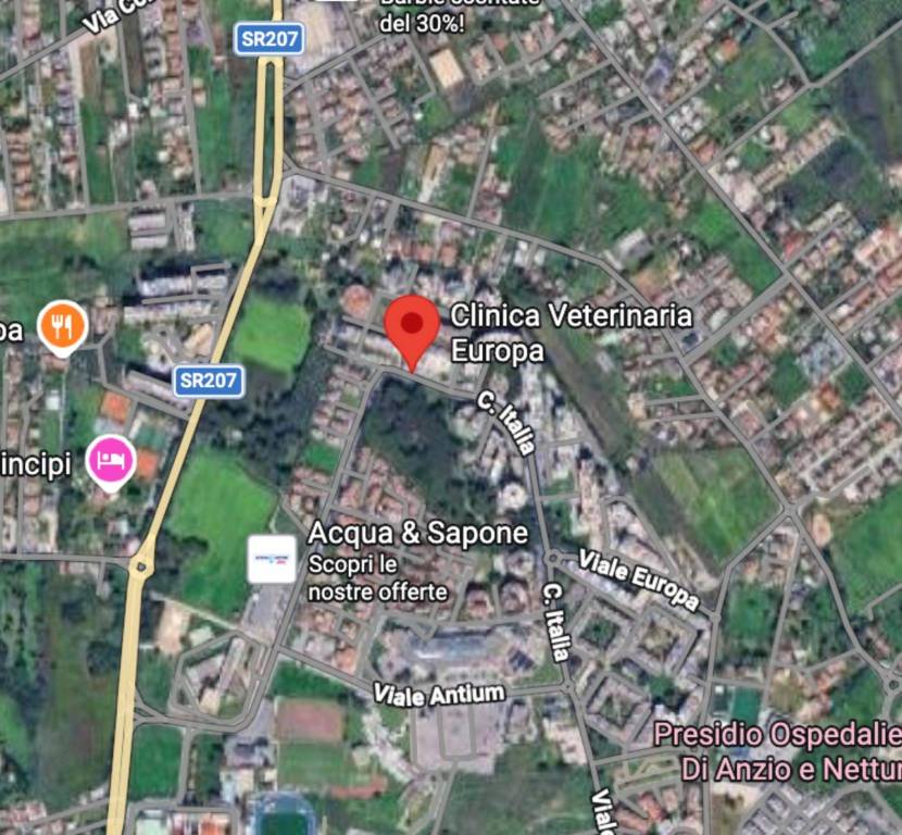 immagine annuncio 9 di 10