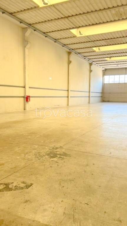 immagine annuncio 2 di 8