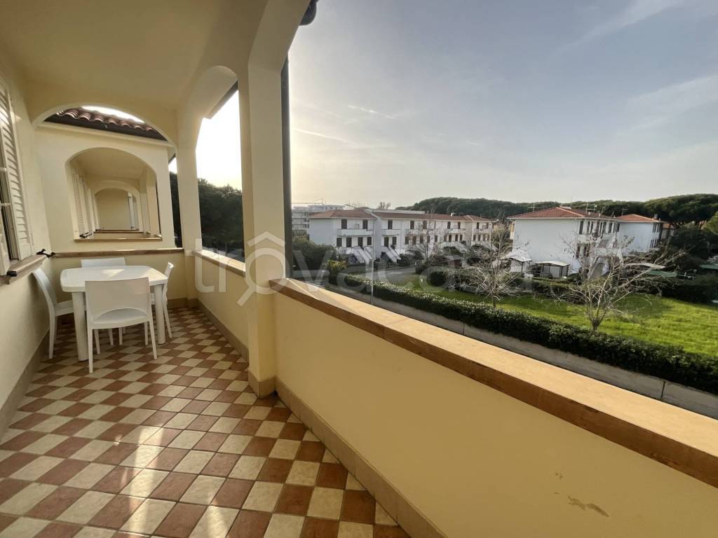 immagine annuncio 7 di 14