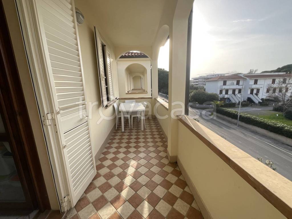 immagine annuncio 9 di 14