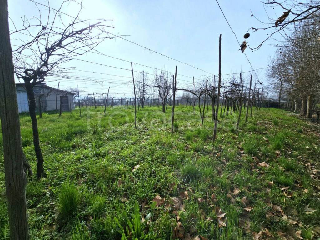 immagine annuncio 6 di 13