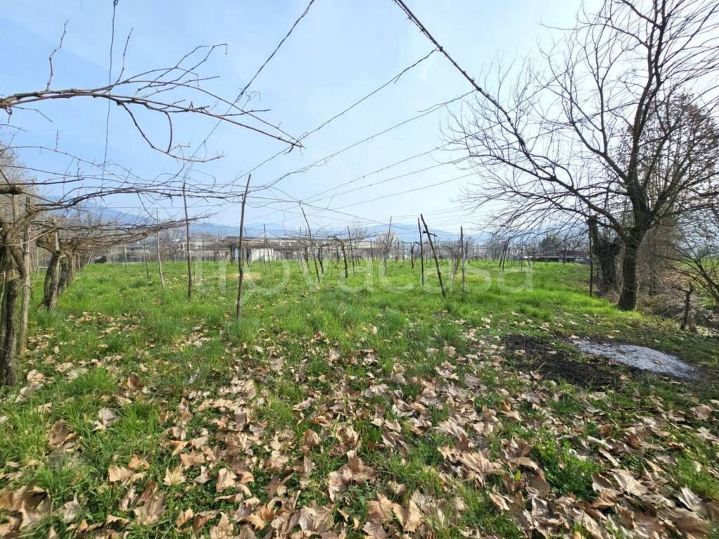 immagine annuncio 8 di 13