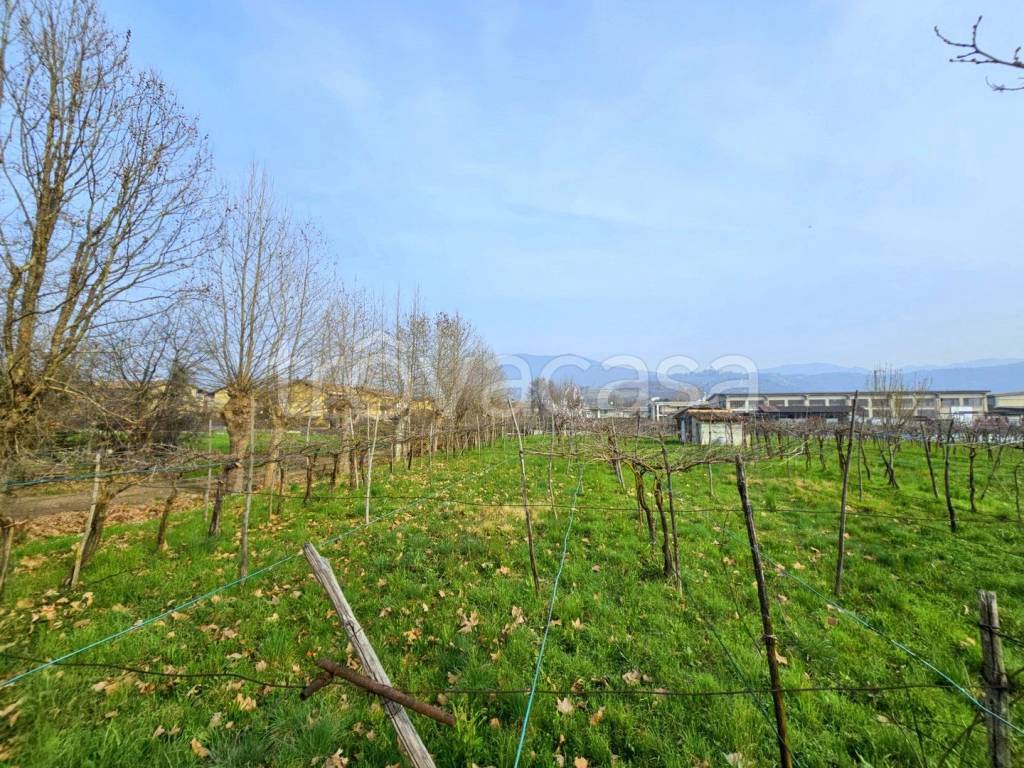 immagine annuncio 9 di 13