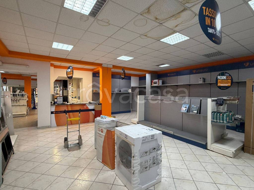 immagine annuncio 3 di 12