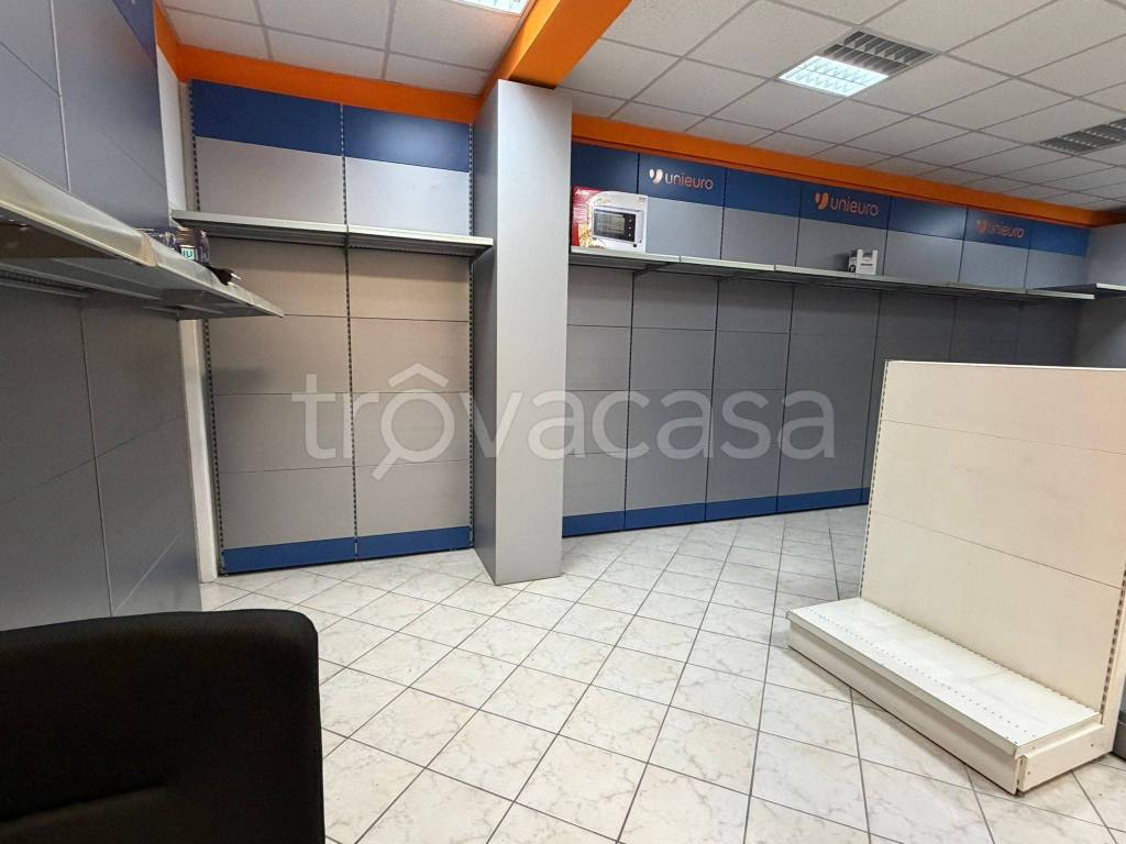 immagine annuncio 5 di 12