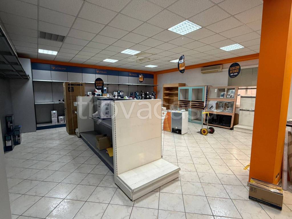 immagine annuncio 10 di 12