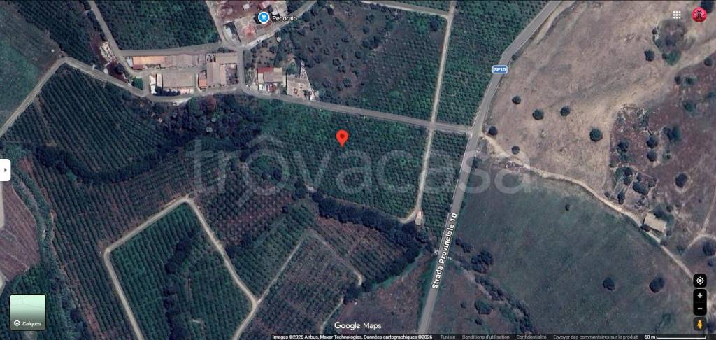 immagine annuncio 10 di 13