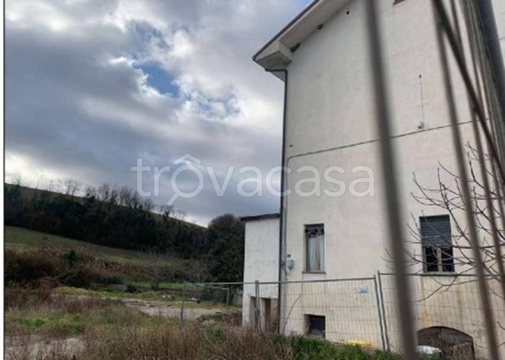 immagine annuncio 6 di 11