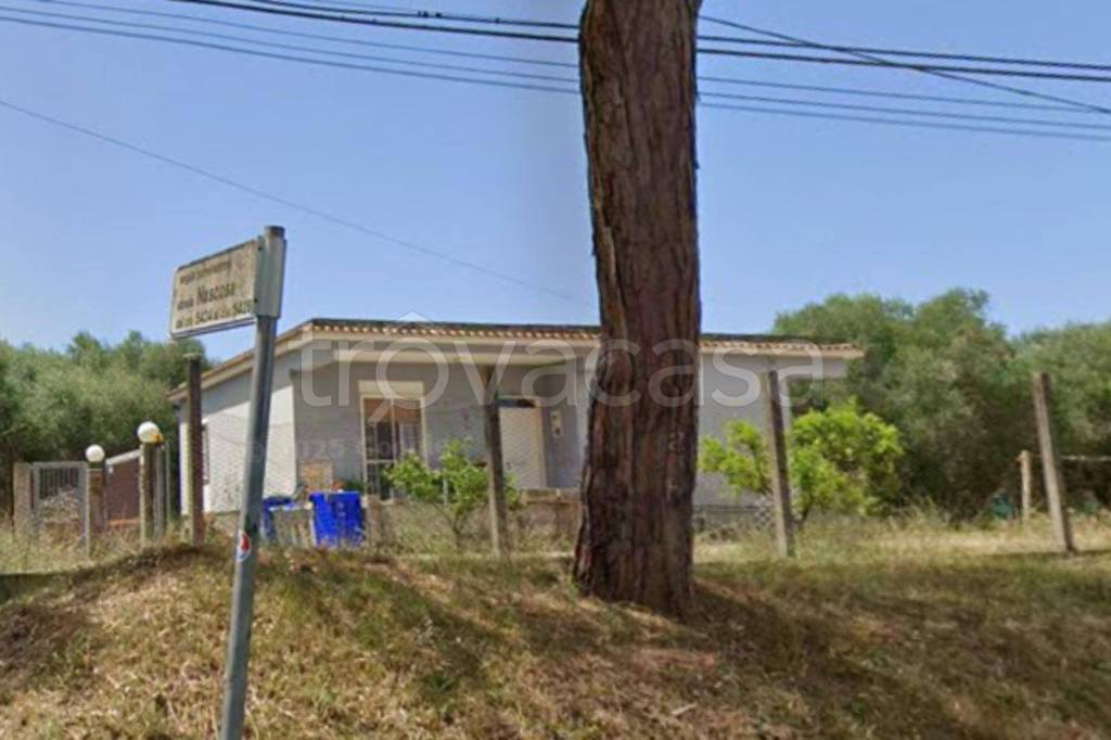 immagine annuncio 4 di 12