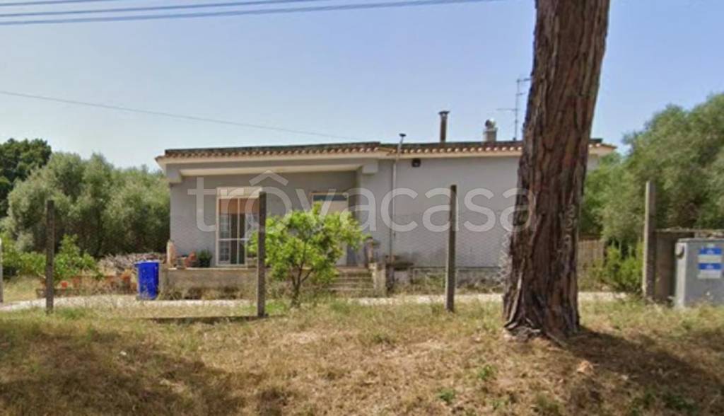 immagine annuncio 5 di 12