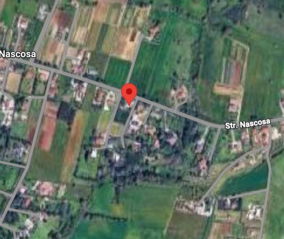 immagine annuncio 10 di 12