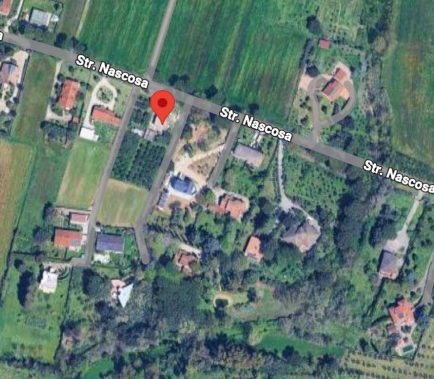 immagine annuncio 11 di 12