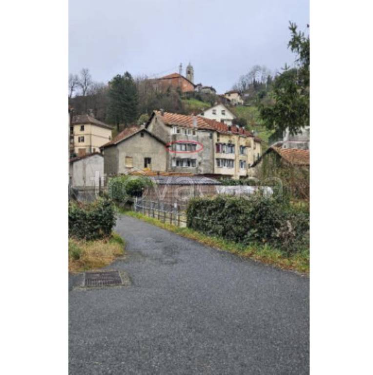 immagine annuncio 2 di 13