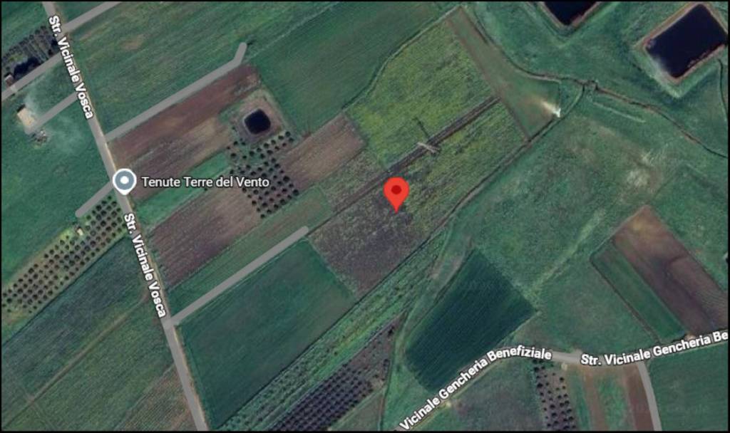 immagine annuncio 11 di 12