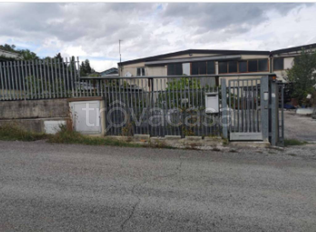 immagine annuncio 8 di 10