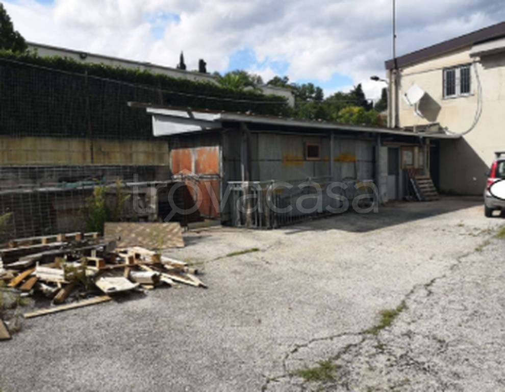 immagine annuncio 9 di 10