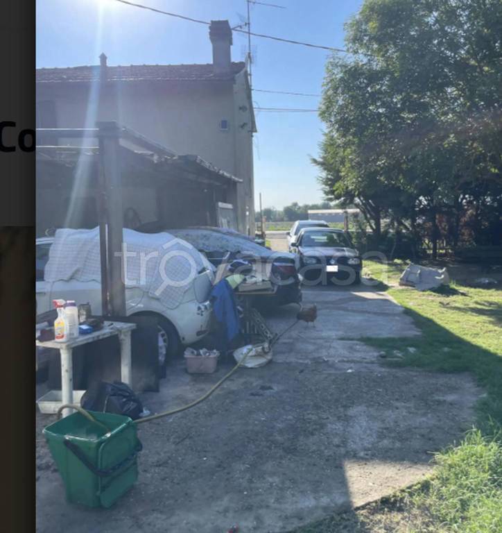 immagine annuncio 3 di 11