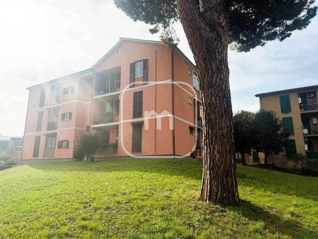 immagine annuncio 1 di 14