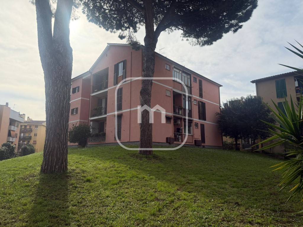 immagine annuncio 3 di 14