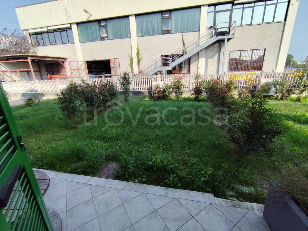 immagine annuncio 6 di 15