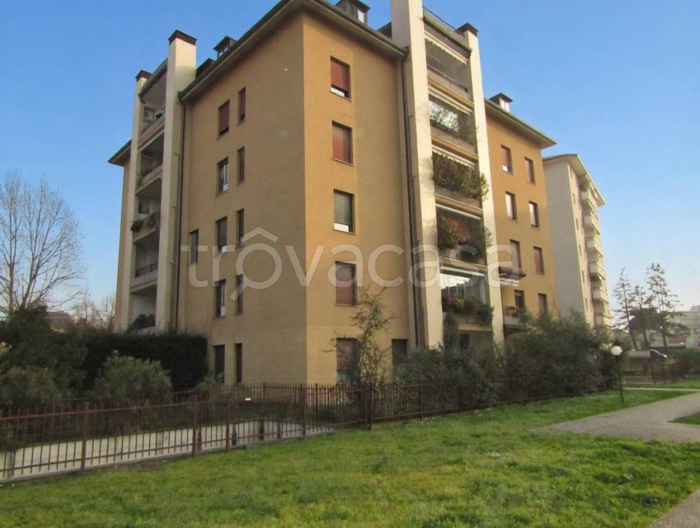 immagine annuncio 3 di 14