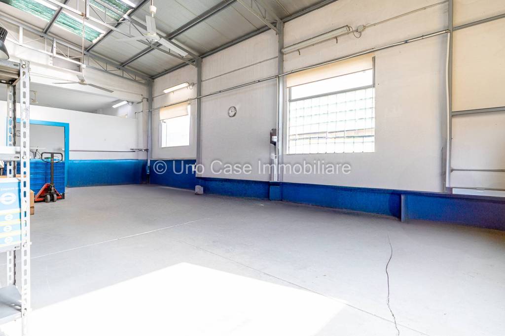 immagine annuncio 2 di 11