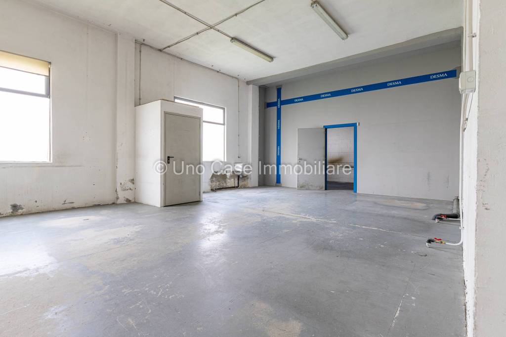 immagine annuncio 6 di 11