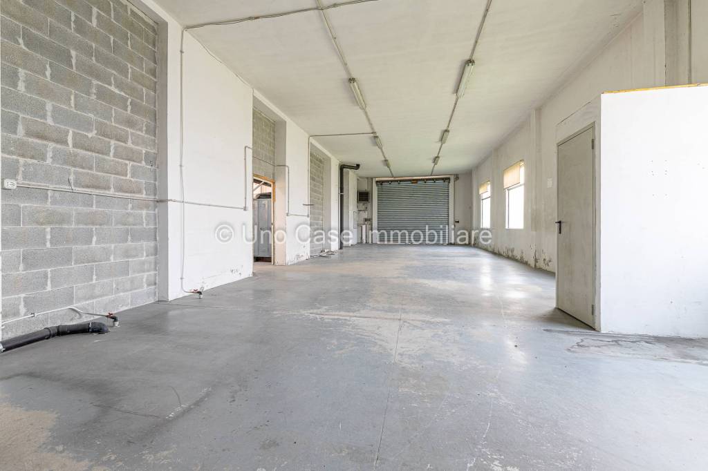 immagine annuncio 9 di 11