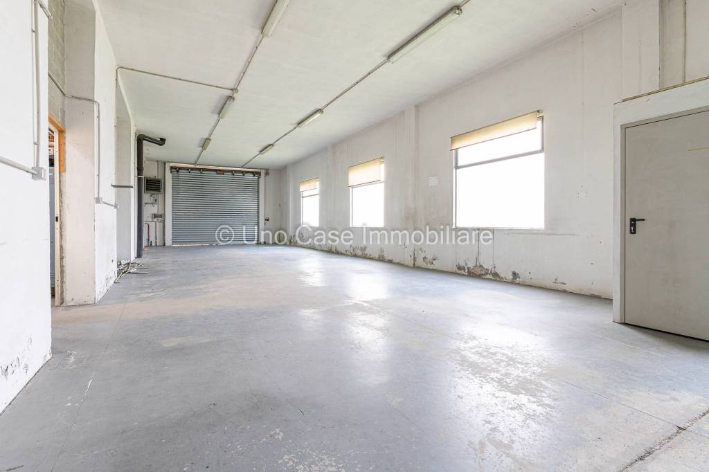 immagine annuncio 10 di 11