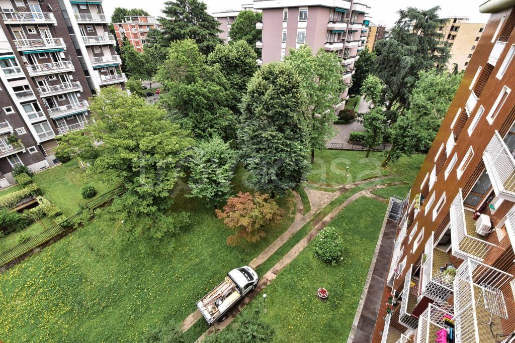 immagine annuncio 11 di 15